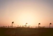 hypoglycemia-in-type-2-diabetes