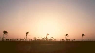 hypoglycemia-in-type-2-diabetes