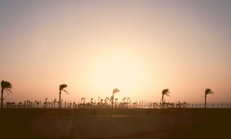 hypoglycemia-in-type-2-diabetes