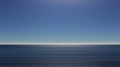 importance-of-nutrition-during-fever