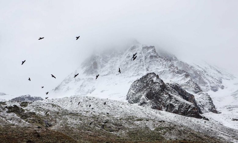 india-advanced-in-arms-race