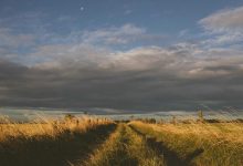 india-first-energy-security-strategy