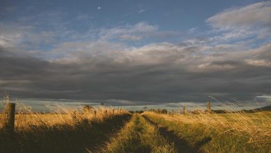 india-first-energy-security-strategy