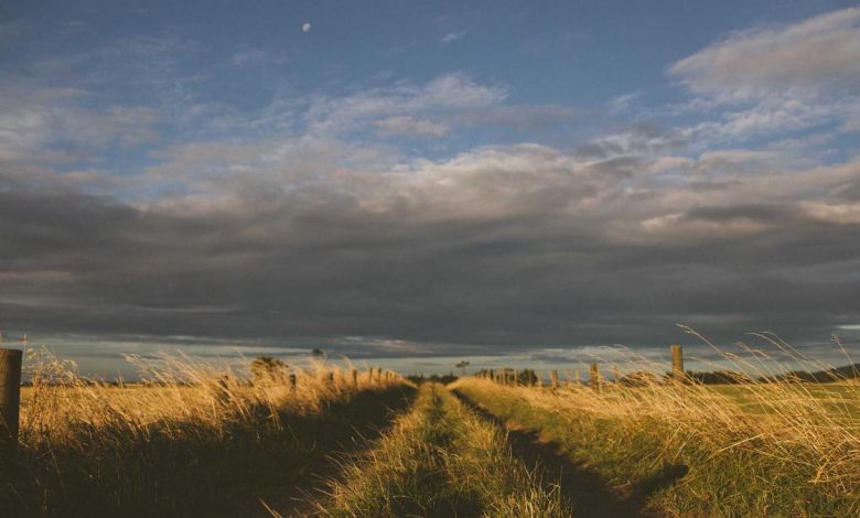 india-first-energy-security-strategy