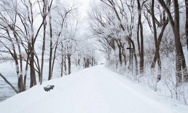 india-new-drone-projects-sheshnag-kal