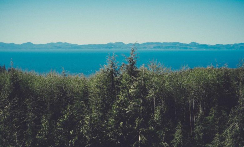 india-world-champion-suryakumar-yadav-future