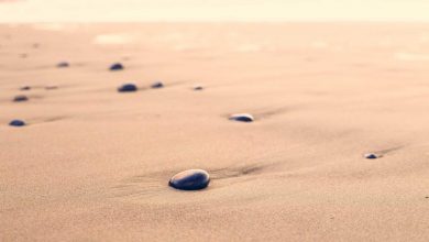 iphone-16-pro-offer-delivery