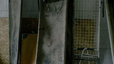 iran-america-warning-ground-war