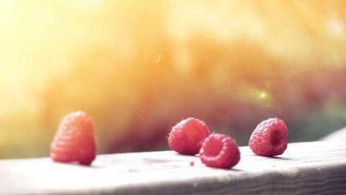 iran-destroys-israel-trump-netanyahu-decision