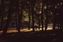 iran-israel-war-can-end-with-modi-call