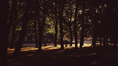 iran-israel-war-can-end-with-modi-call