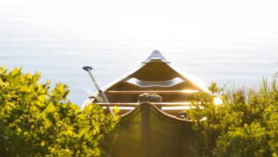 iran-leadership-contact-challenges-india