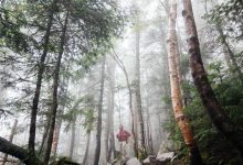 iran-minister-comments-russia-aid