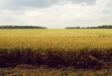 ishan-kishan-sister-death-reveal