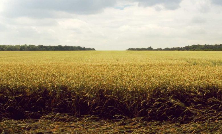 ishan-kishan-sister-death-reveal