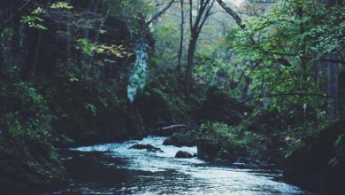 israel-iran-conflict-water-crisis