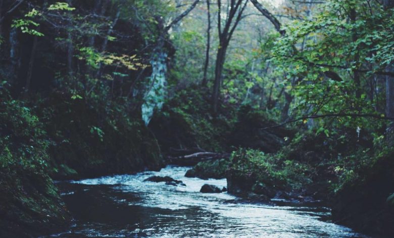 israel-iran-conflict-water-crisis