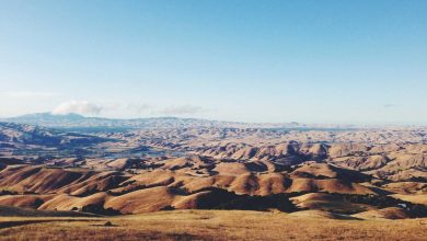 jahnvi-kapoor-horror-film-double-role