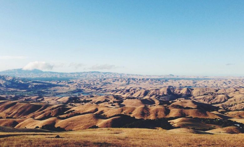 jahnvi-kapoor-horror-film-double-role