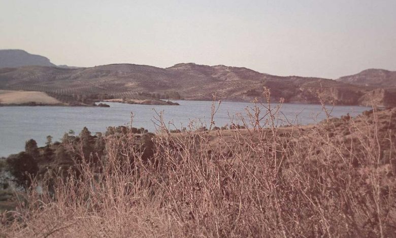 jiohotstar-new-series-review