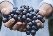 kejriwal-sisodia-acquittal-hc-reaction