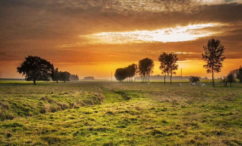 kharg-island-iran-us-israel-attack