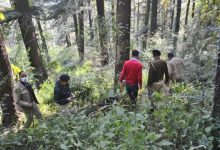 leopard-attack-on-youth-himachal