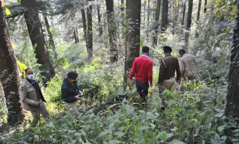 leopard-attack-on-youth-himachal