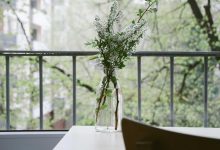 lpg-cylinder-price-booking-rules-change