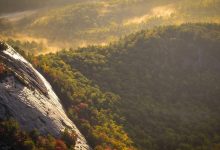 maithili-thakur-emotional-video-bjp-mla