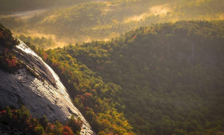 maithili-thakur-emotional-video-bjp-mla