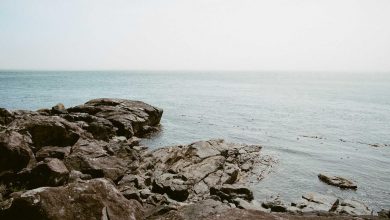 malaika-arora-influencer-video