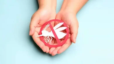 malaria-prevention-mosquito-bites-summer