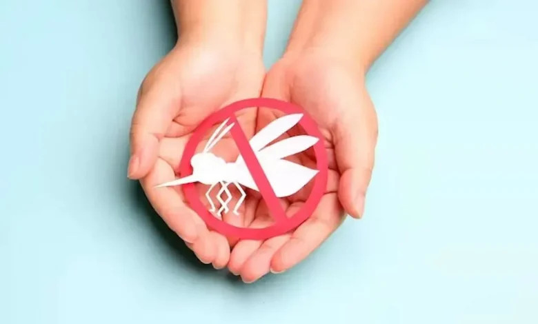 malaria-prevention-mosquito-bites-summer