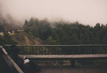 mammography-life-saving-test-cancer