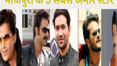 manoj-tiwari-vs-ravi-kishan-wealth