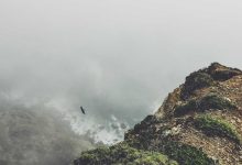 meesho-shares-fall-10-percent