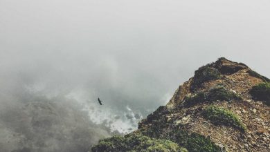 meesho-shares-fall-10-percent