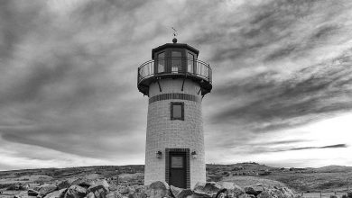 middle-east-crisis-pg-electroplast-lpg-allocation