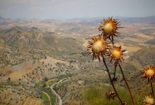 millionaire-pakistani-youtuber-divorce