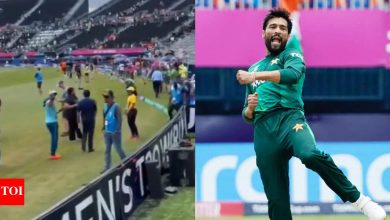 mohammad-amir-angry-india-t20-win