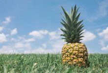 mohammad-amir-reacts-to-india-victory