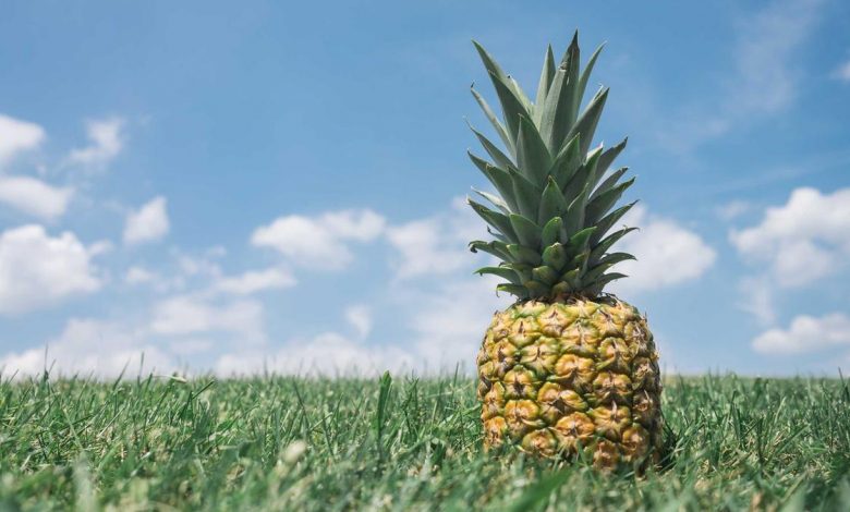 mohammad-amir-reacts-to-india-victory