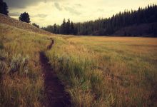 motorola-edge-70-fusion-vivo-y400-oneplus-nord-ce