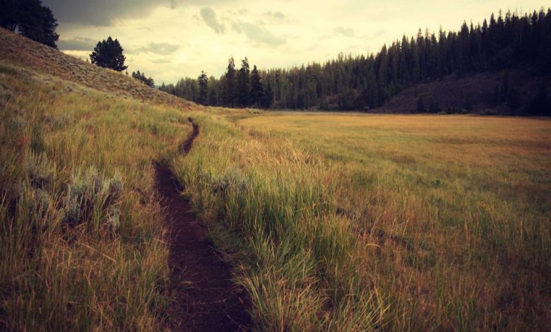 motorola-edge-70-fusion-vivo-y400-oneplus-nord-ce