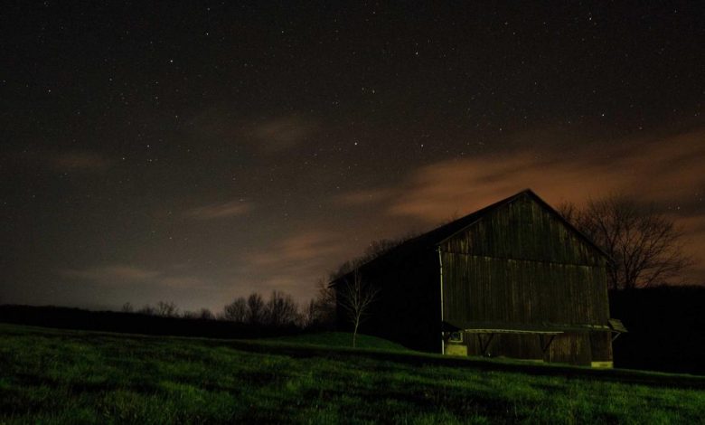 motorola-edge-70-vs-edge-60-fusion