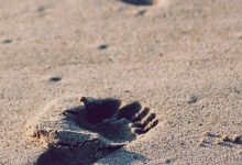 motorola-new-foldable-5g-phone