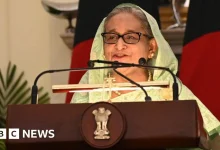 mp-lady-tehsildar-supreme-court-bail-rejection