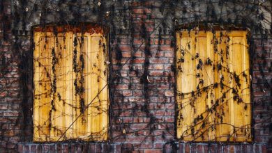 ms-dhoni-instagram-post-coach-gambhir