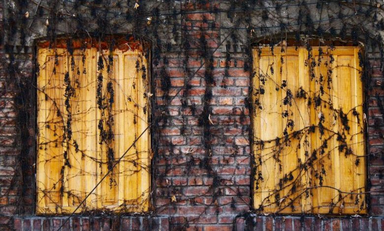 ms-dhoni-instagram-post-coach-gambhir